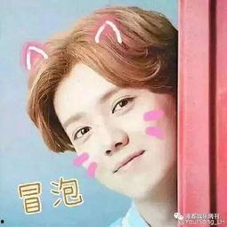 鹿晗搞笑软件